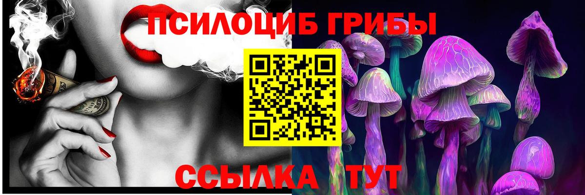 Псилоцибиновые грибы Cubensis Котлас