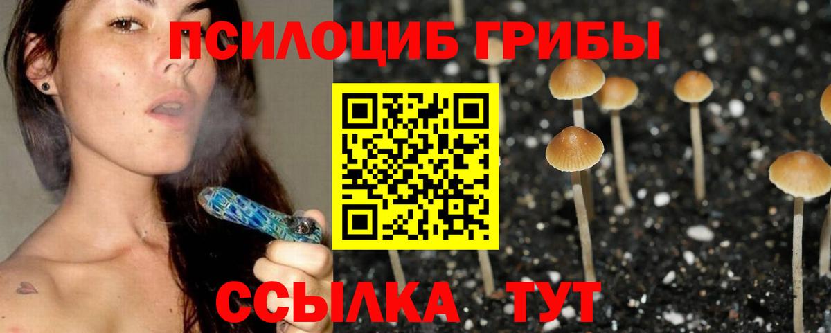 Псилоцибиновые грибы Psilocybe  Вход с VPN  Котлас  Галлюциногенные грибы Psilocybine cubensis 
